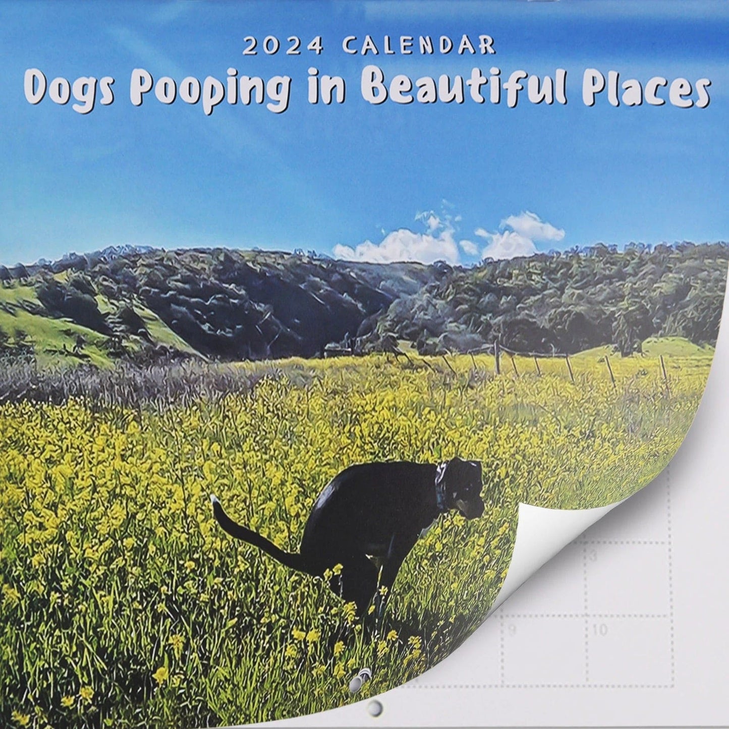 Dogs Pooping in Beautiful Paces