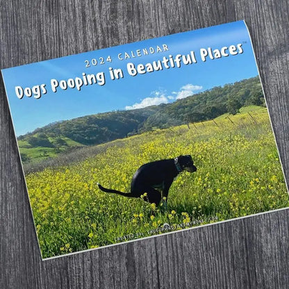 Dogs Pooping in Beautiful Paces